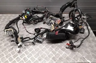 TESLA Model 3 1 generation (2017-2024) Жгут проводов 100676300D,100442300G 33432643