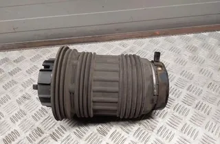 PORSCHE Panamera 970 (2009-2016) Подушка подвески задняя левая 97033353315 33436970