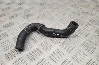 AUDI A4 B9/8W (2015-2024) Dzesēšanas šļauka / truba 8W0122448AA 33438870