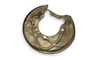 AUDI A5 Sportback F5 (2016-2024) Задняя защита тормозного диска 8W0615611A 33459802