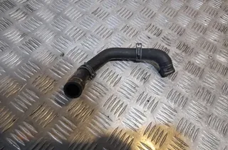 AUDI A4 B9/8W (2015-2024) Dzesēšanas šļauka / truba 8W0819370C 33484161