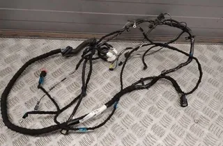TESLA Model 3 1 generation (2017-2024) Жгут проводов 100442800 33486807