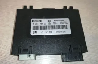 OPEL Signum C (2003-2008) Pārkingsensoru vadības bloks 13157260 33883435