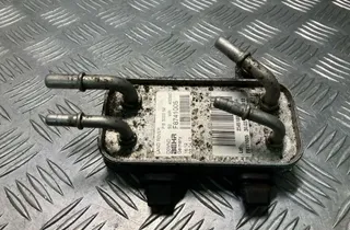 LAND ROVER Range Rover Sport 1 generation (2005-2013) Охладитель топлива (радиатор) F8741005,PIB500052 33545077