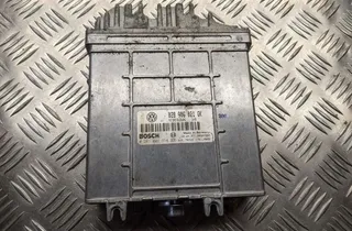 VOLKSWAGEN Passat B5 (1996-2005) Motora vadības bloks 028906021GK 31435704