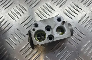 BMW 3 Series E90/E91/E92/E93 (2004-2013) Gaisa kondicioniera izplešanās vārsts 64116981 31818772