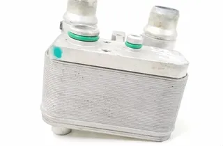 OPEL Corsa F (2019-2023) Gaisa kondicioniera izplešanās vārsts 9831600480 22014424