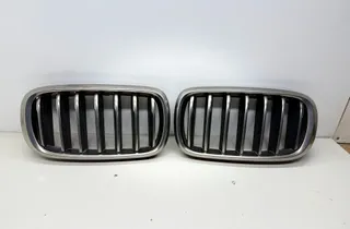 BMW X6 F16 (2014-2020) Radiatora reste 7349388,7349387 33550390