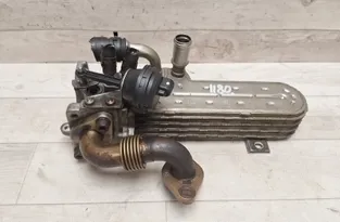 VOLKSWAGEN Passat B6 (2005-2010) EGR dzesētājs 03G131513J,03G131513,3239787 33392585