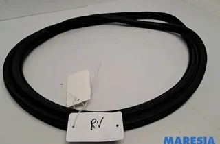 OPEL Grandland X 1 generation (2017-2023) Priekšējo labo durvju gumija 9811537480,009811537480 33531204