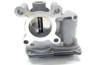 RENAULT Kadjar 1 generation (2015-2024) Droseļvārsts 161206038R 33384768