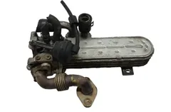 VOLKSWAGEN Passat B7 (2010-2015) Охладитель Eгр 03G131513J 33577910