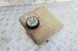 FORD Kuga 1 generation (2008-2013) Расширительный бак 3M5H8K218DG 33580082