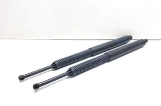 BMW 5 Series F10/F11 (2009-2017) Aizmugurējā bagāžnieka amartizātors kreisajā pusē 7207011 33685912