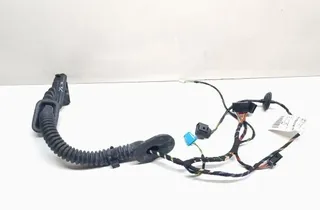 PORSCHE Cayenne 958 (2010-2018) Rear Left Door Wiring 7P5971694C 33689067