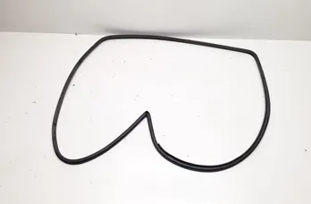 TOYOTA Prius 3 generation (XW30) (2009-2015) Priekšējo labo durvju gumija 33698239