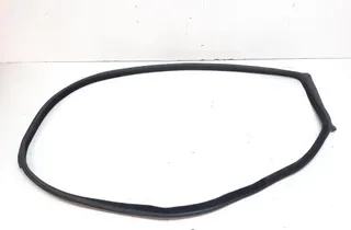 BMW 6 Series F06/F12/F13 (2010-2018) Front Left Door Seal Rubber 7221325 33703791