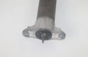 FORD C-Max 2 generation (2010-2019) Aizmugurējais labais amortizators AV6118080AA 33292224