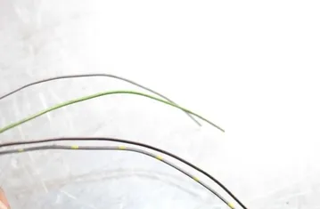 BMW 5 Series F10/F11 (2009-2017) Зеркало заднего вида 015891,025891 33398546