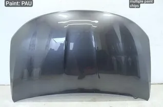 CHRYSLER Pacifica 2 generation (RU) (2016-2023) Bonnet 33528768