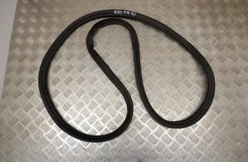 BMW 5 Series G30/G31 (2016-2023) Front Left Door Seal Rubber 7337000 33513403