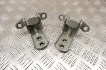 NISSAN Leaf 2 generation (2017-2023) Front left door hinge kit 33688269