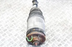 LAND ROVER Range Rover Sport 1 generation (2005-2013) Задний левый пневмо амортизатор RPD500910,22241480 14571925