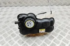 JAGUAR F-Pace 1 generation (2016-2024) Расширительный бак GX73-8A080-AC 33090836