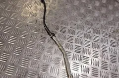 VOLKSWAGEN Passat B5 (1996-2005) Lambda zonde 06F906262 33838206