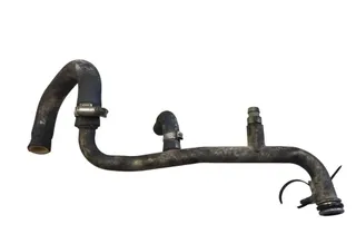 VOLVO V70 3 generation (2007-2020) Dzesēšanas šļauka / truba 33353701