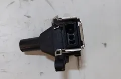 BMW 5 Series E39 (1995-2004) Augstsprieguma aizdedzes vads (svečvads) 0221504004,1748017,NEC101000L,1703227,12137599219,0202405,12131703228,LR022494,1748018,12131748017,7599219,12139067830,12131748018,12131703825 34311870