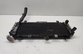 KAWASAKI Z650RS Dzesēšanas radiators 337012,Z650 34489930
