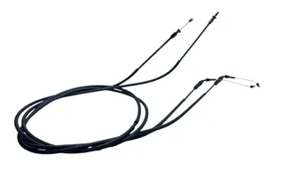 BMW C Akseleratora / gāzes trose 7923610 34829870