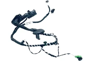 VOLKSWAGEN Tiguan 2 generation (2016-2024) Rear Left Door Wiring 5NA971693CA 33621485