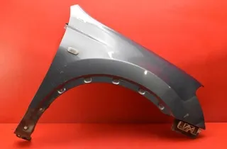 NISSAN Qashqai 1 generation (2007-2014) Priekšējais labais spārns 33481457