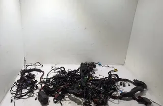 PORSCHE Panamera 971 (2016-2020) Interior wiring harness (left) 972974072 33548271