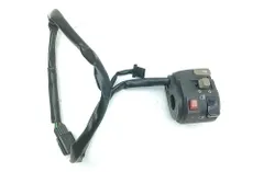 KAWASAKI Z Kreisās Puses Ātrumu Pārslēgšanas Gaismas 460910359,460910381 34754896