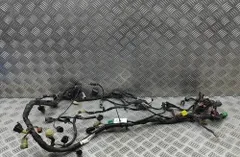 SUZUKI GSX Elektroinstalācija 066500-4230,FE249JR 34273831