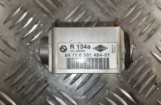 BMW 3 Series E90/E91/E92/E93 (2004-2013) Gaisa kondicioniera izplešanās vārsts 64116981484,328300,6981484 25720696