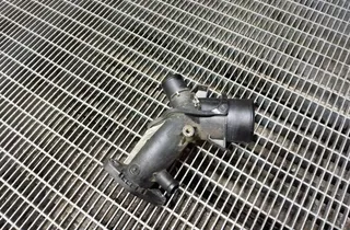 RENAULT Kadjar 1 generation (2015-2024) Citas caurules 165763328R 33401203