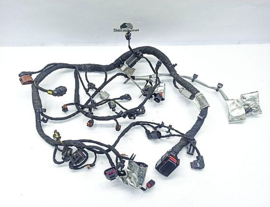 AUDI A1 GB (2018-2024) Жгут проводов двигателя 4H0973713B,TAB009834,22082721,05C972627J,6T885287,5Q0973837,4H0973713G,5Q0906379 32869619