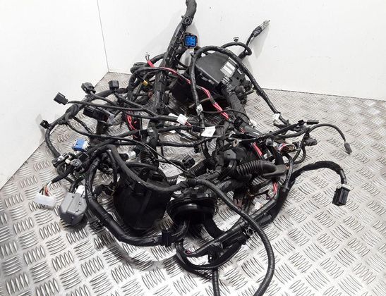 HYUNDAI i30 GD (2 generation) (2012-2017) Engine Cable Harness 91685A6010 32864503