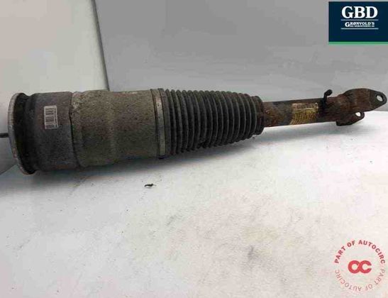 TESLA Model S 1 generation (2012-2024) Air Spring 6006351-00-c 30882703