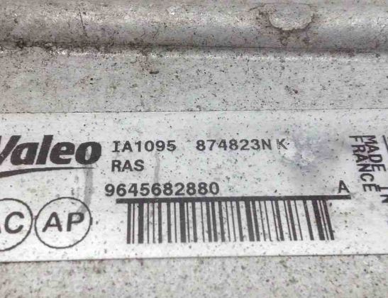 PEUGEOT 407 1 generation (2004-2010) Starpdzesētāja/interkūlera radiators IA1095 20328161