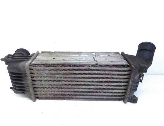 PEUGEOT 407 1 generation (2004-2010) Starpdzesētāja/interkūlera radiators IA1095 20328161