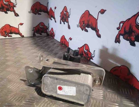 TESLA Model S 1 generation (2012-2024) Fuel cooler (radiator) 10390400G,103735700G,16007316 32186508