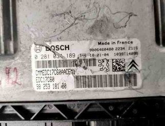 PEUGEOT Partner 2 generation (2008-2023) Motora vadības bloks 9825318180 31940801