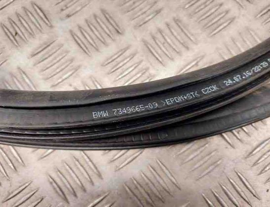 BMW X1 F48/F49 (2015-2023) Aizmugurējo labo durvju gumija 7349665 24210540