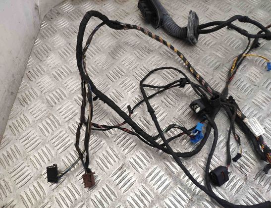 BMW 7 Series F01/F02 (2008-2015) Aizmugurējo labo durvju elektroinstalācija 9234360,9147281 15369742