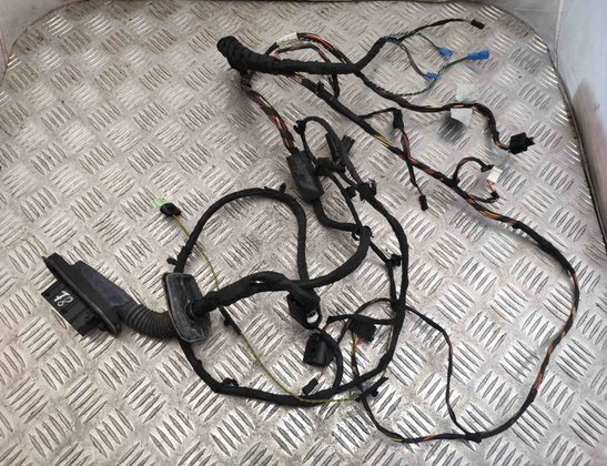 BMW 7 Series F01/F02 (2008-2015) Дверные кабели спереди справа 9234337,9147281 15369743